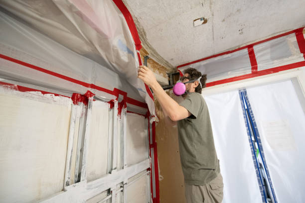 Best Mold Prevention Services  in Altamont, NY